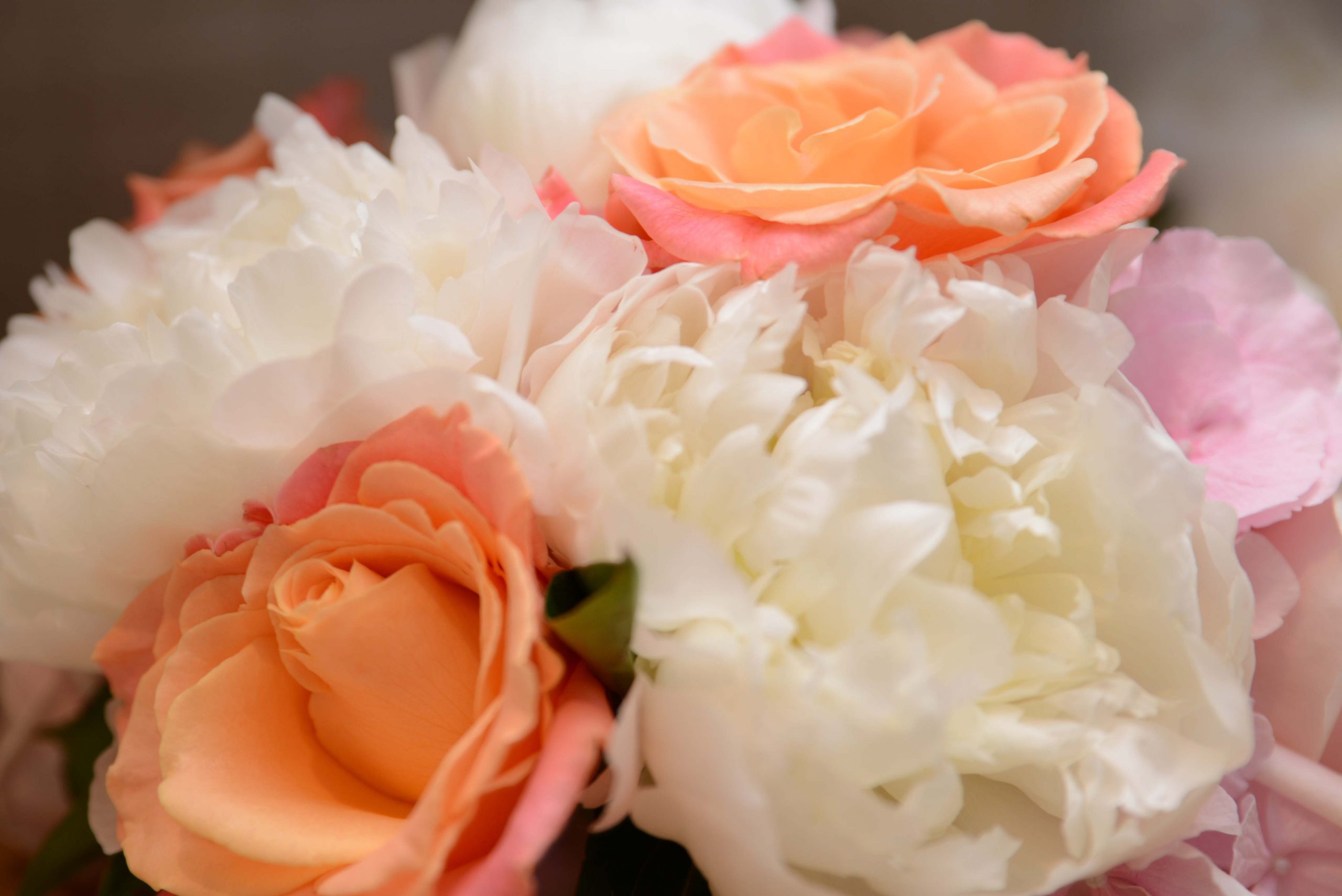 blumenschmuck_I
